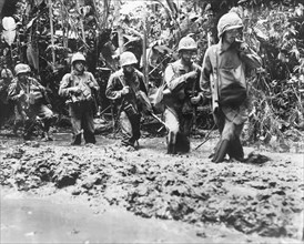 U.S. marines, military, Bougainville, World War II, historical,