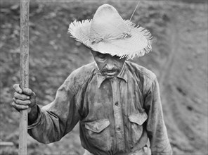 Half-Length Portrait of Tobacco Farm Laborer