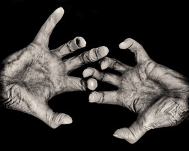 Senior Woman's Palms of Hands and Fingers against Black Background