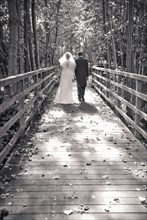 Rear View of Bride and Groom walking on Wood Pathway