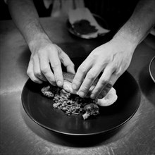Chef placing Fish on Bed of Lentils