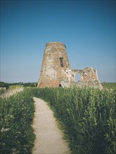 Ruins of St Benet's Abbey and Pathway
