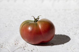 Tomato with Shadow on White Background