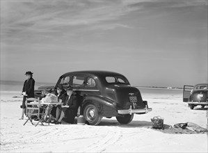 Guests of Sarasota Trailer Park Picnicking at Beach, Sarasota, January 1941