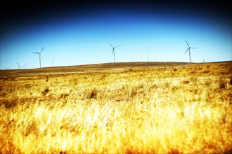 Golden Meadow with Wind Turbines on Horizon,,
