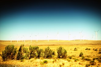 Rural Landscape, Sage Brush in Foreground and Wind Turbines in Background ,