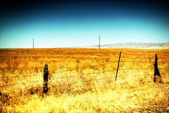 Golden Meadow and Barbed Wire Fence,,
