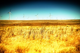 Golden Meadow and Wind Turbines in Rural Landscape,,