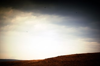 Remote Barren Landscape with Birds of Prey circling above,,