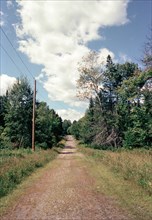 Rural Dirt Road through Wooded Landscape,,