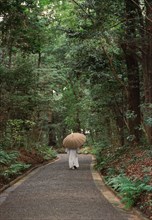 Rear View of Monk walking in Yoyogi Park, Tokyo,