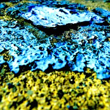 Abstract Blue and Yellow Paint Flakes,,