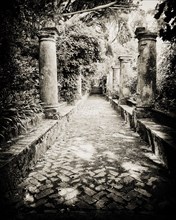Roman Walkway, Capri,
