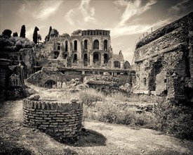 Ancient Ruins, Roman Forum,