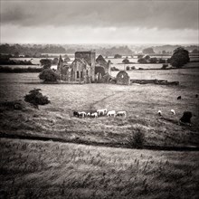 Hore Abbey, County Tipperary,