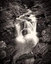 Torc Waterfall,  Killarney National Park,