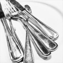Cutlery on Plate,,