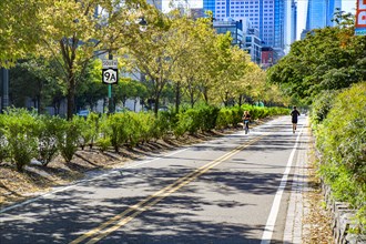 Cyclist and Jogger on Bike and Jogging Path along West Side Highway, New York City,