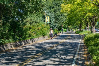 Cyclists and Joggers on Bike and Jogging Path along West Side Highway, New York City,