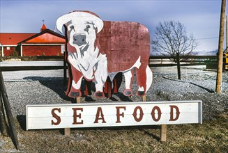 Bull Sign, Seafood
