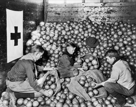 Boy Scouts unloading Fruit donated by Fruit Growers and supplied by American Red Cross for Drought Sufferers, Cleveland