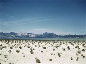 Mojave Desert, Cadiz