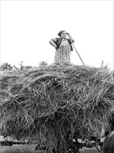 Farm Wife helping to load Hay, Door County