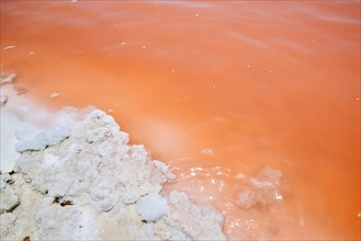 Detail of Pink Salt Lake, Torrevieja