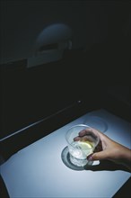 Boy holding Glass of Lemonade in Airplane Seat,