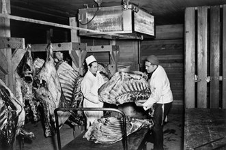 Two Workers handling Beef in Butcher Shop
