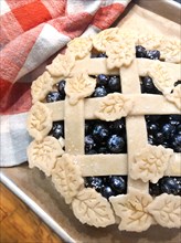Blueberry Pie with Leaf Crust