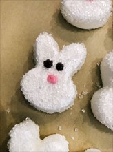 Homemade Easter Marshmallow Peeps