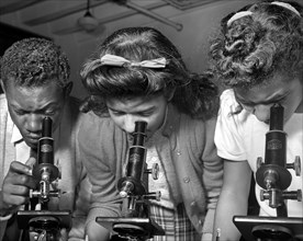 Students using Microscopes