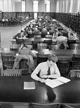 Students studying in Library