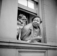 Women with her Dog leaning out of Apartment Window