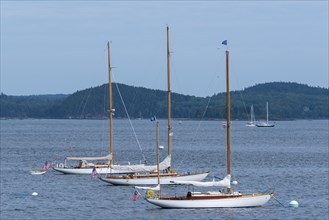 Three Wooden Yachts moored in Harbor