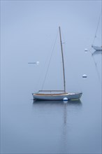 Small Wooden Sailboat moored in Harbor