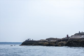 Group of People at Water's Edge on Rocks
