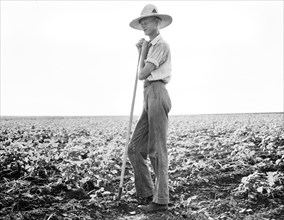 Young Man with Hoe in Crop Field