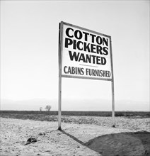 Cotton Pickers Wanted