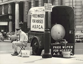 Man sitting on Chair near Wagon with Water Tank in back to provide horses with free water by the American Society for the Prevention of Cruelty to Animals