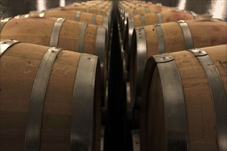 Wine Barrels in Wine Cellar