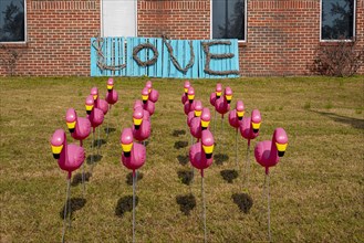 Plastic Pink Flamingos with Love Sign in Background