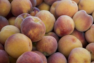 Peaches at Farmer's Market