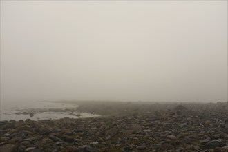 Heavy Fog during Low tide at Beach