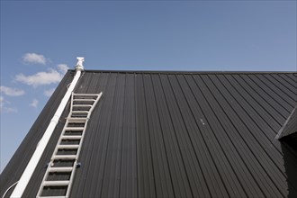 White ladder on Black Metal Roof