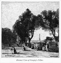 Distant View of Pompey's Pillar