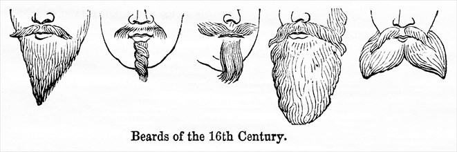 Beards of the 16th Century