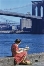 Woman reading Newspaper