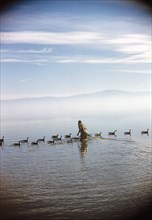 Rear View of Man standing in water with Duck Decoys